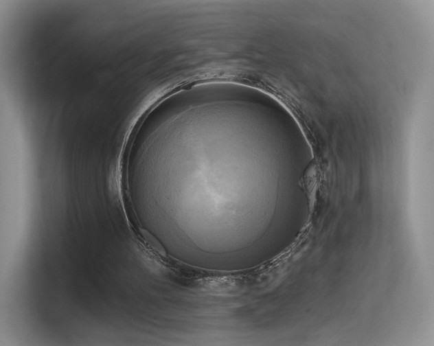 X0000114670100200910211158