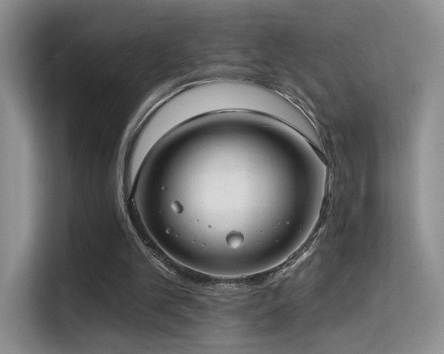 X0000114670101200910211158