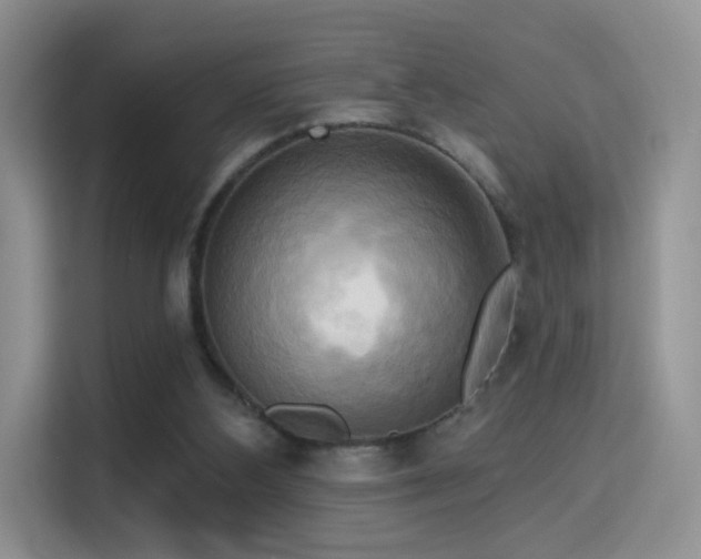 X0000114670108200910211158