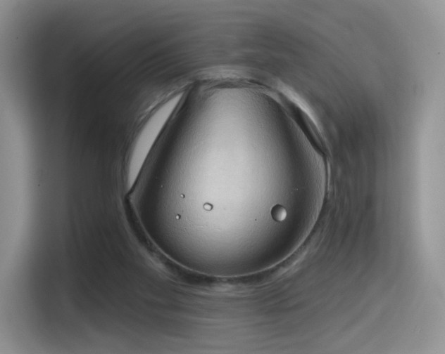 X0000114670109200910211158