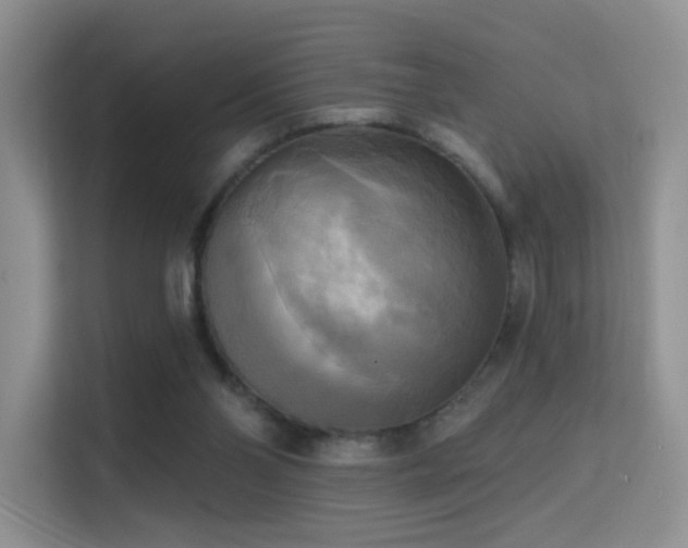 X0000114670110200910211158