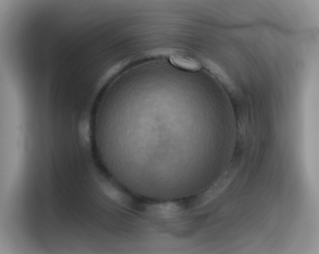 X0000114670112200910211158