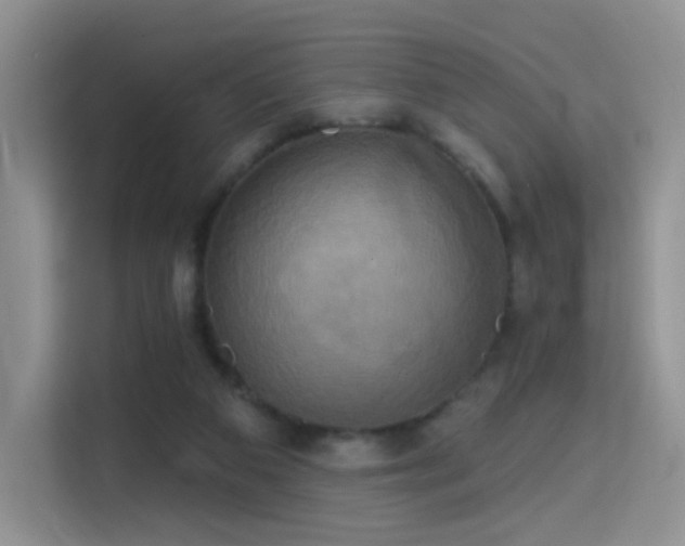 X0000114670113200910211158