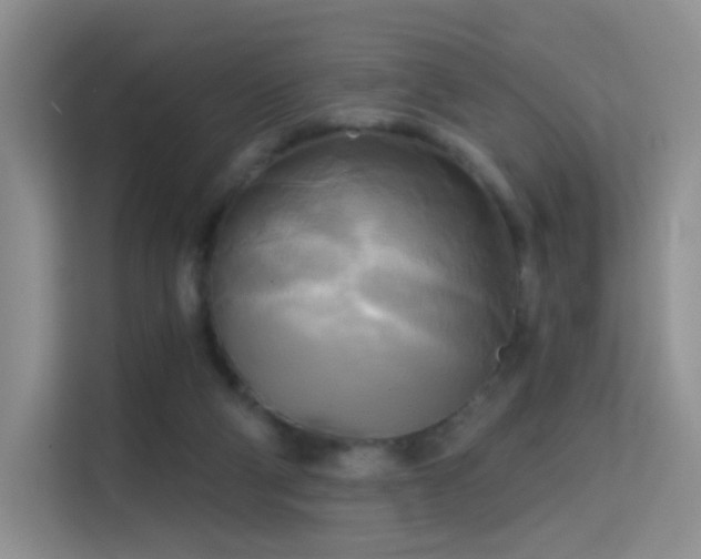 X0000114670114200910211158