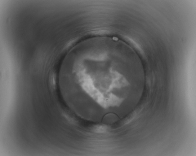 X0000114670115200910211158