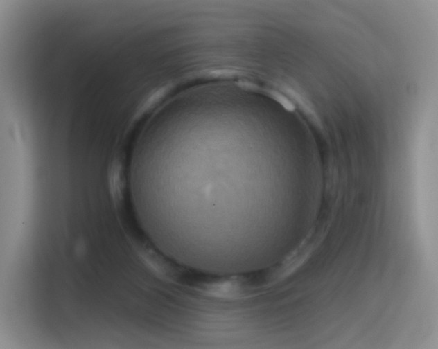 X0000114670116200910211158