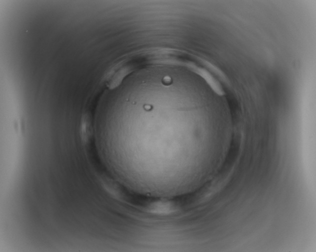 X0000114670119200910211158