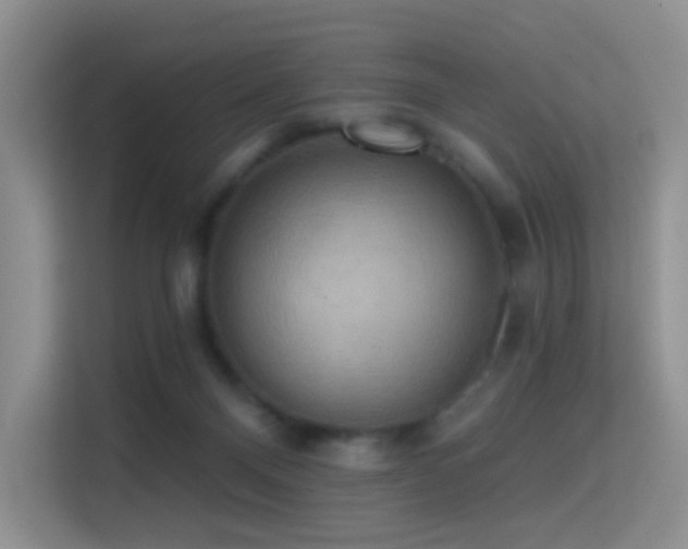 X0000114670120200910211158