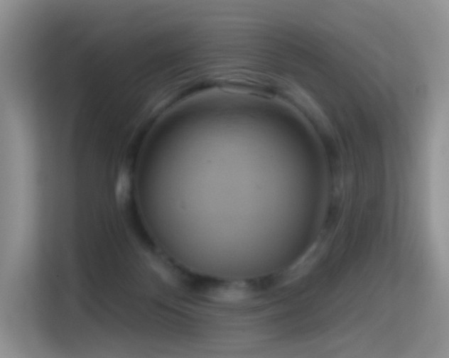 X0000114670124200910211158