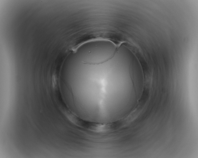 X0000114670130200910211158