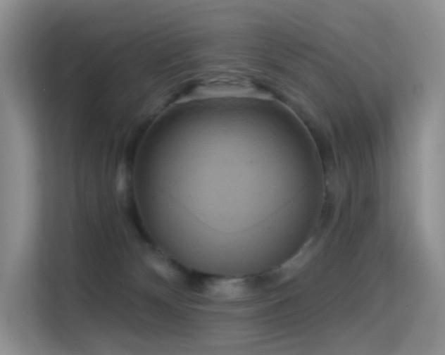 X0000114670132200910211158