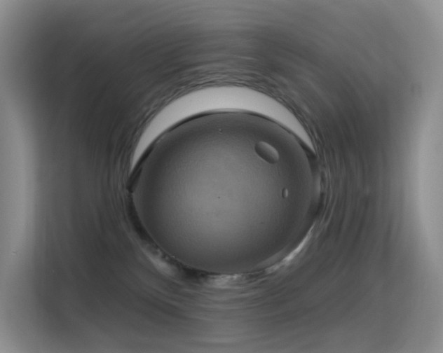 X0000114670136200910211158