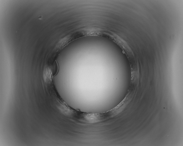 X0000114670142200910211158