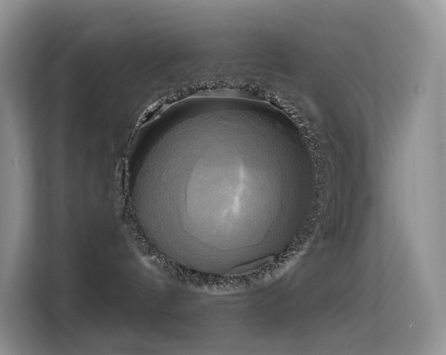 X0000114670144200910211158