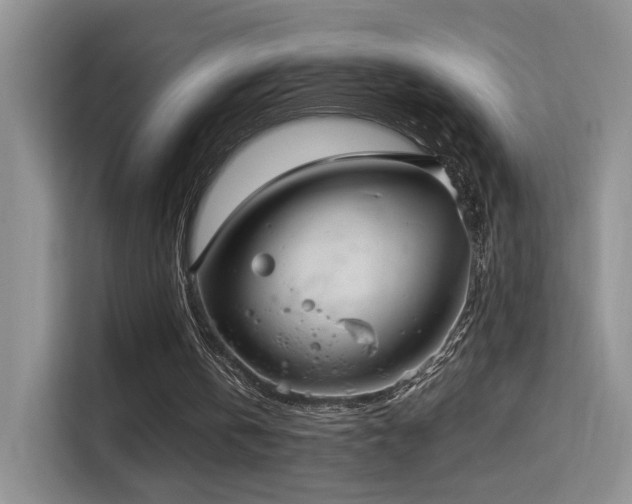 X0000114670146200910211157