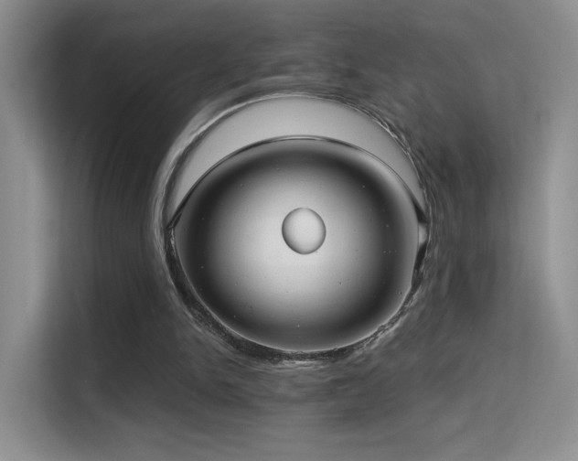 X0000114670150200910211157