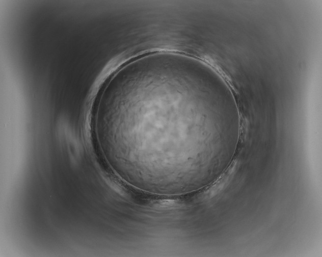 X0000114670151200910211157