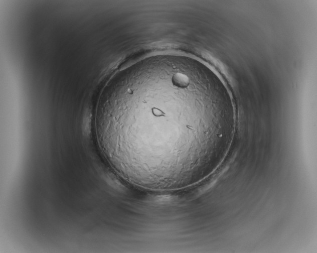 X0000114670153200910211157