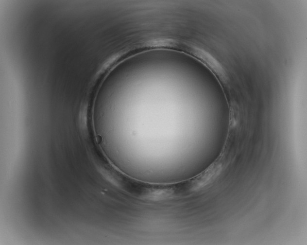 X0000114670155200910211157