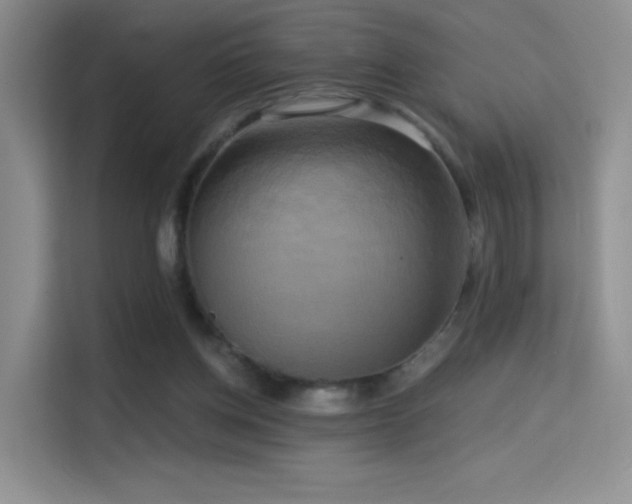 X0000114670158200910211157