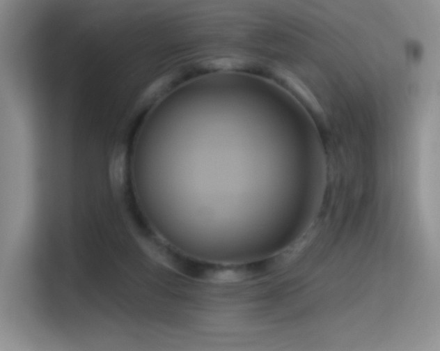 X0000114670163200910211157