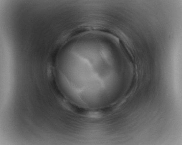 X0000114670169200910211157