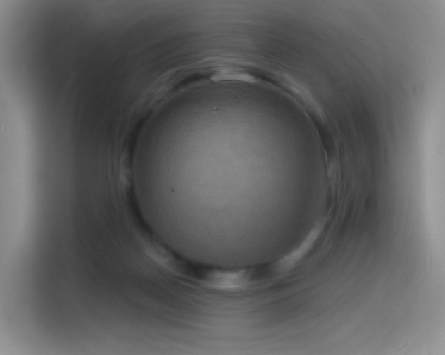 X0000114670170200910211157