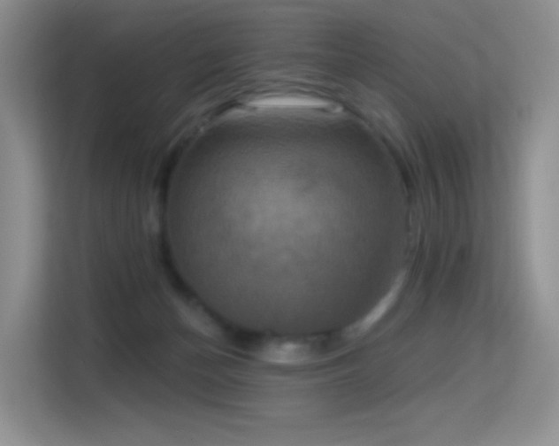 X0000114670174200910211157