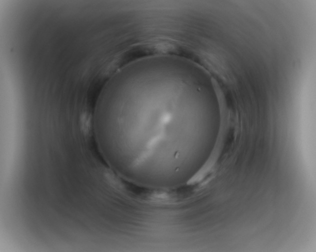 X0000114670177200910211157