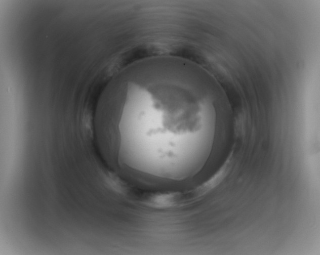 X0000114670178200910211157