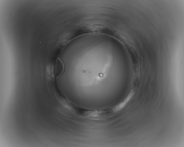 X0000114670182200910211157