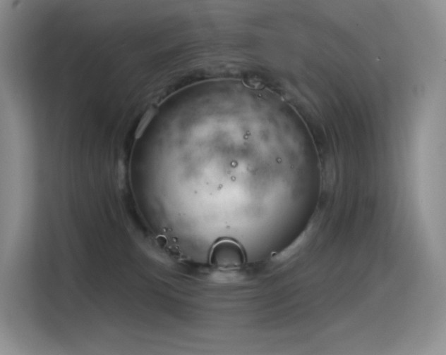 X0000114670183200910211157