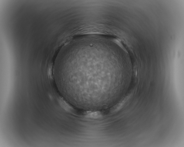 X0000114670185200910211157