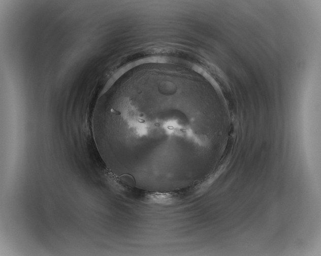 X0000114670189200910211157