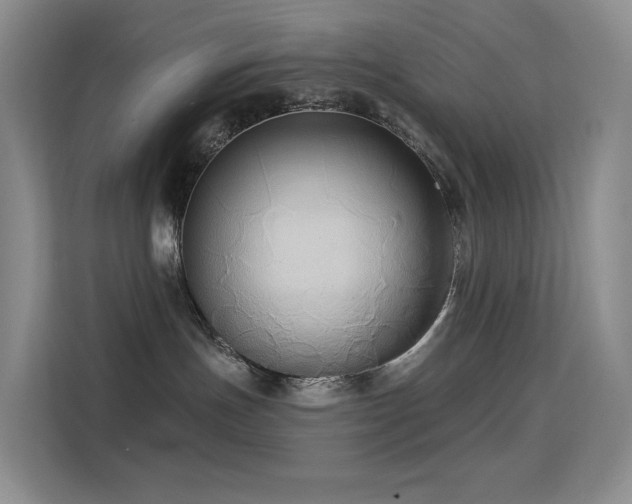 X0000114670191200910211158