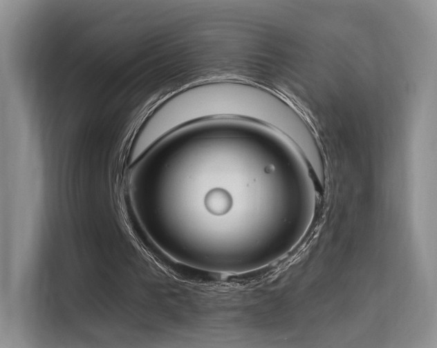 X0000114670193200910211157