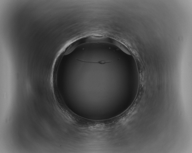 X0000114670196200910211157