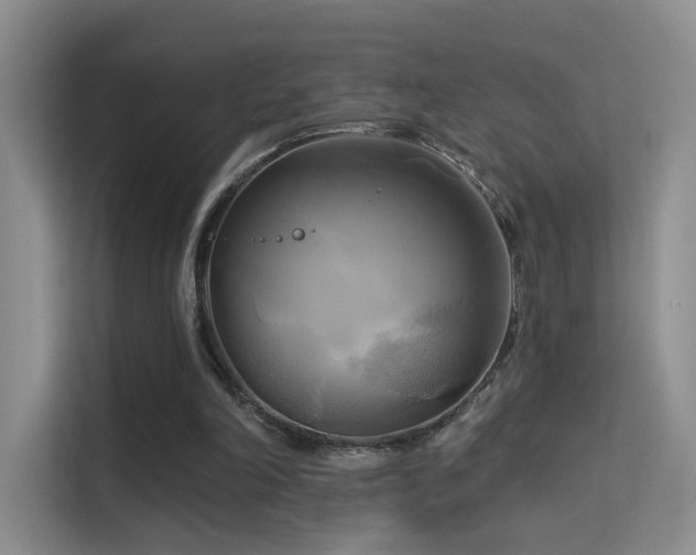 X0000114670198200910211157