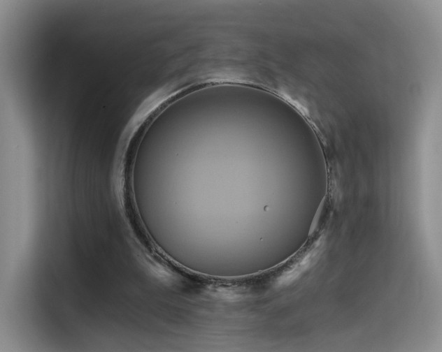 X0000114670199200910211157