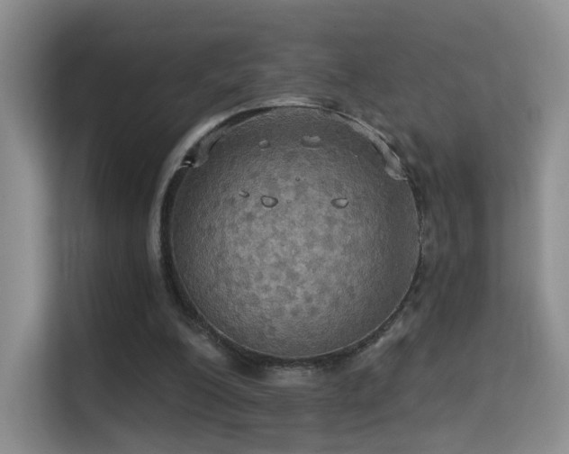 X0000114670200200910211157