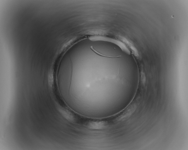 X0000114670202200910211157