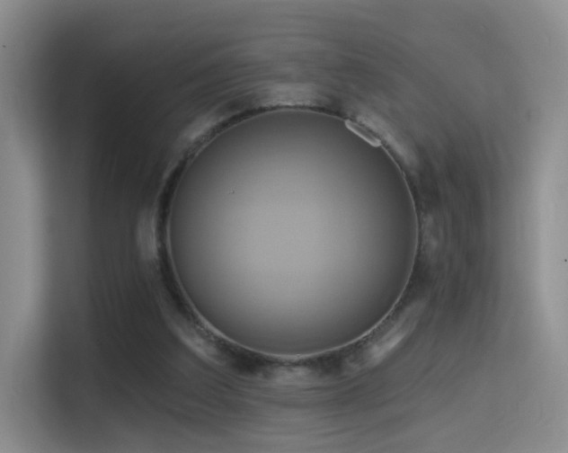 X0000114670203200910211157