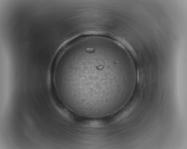 X0000114670204200910211157