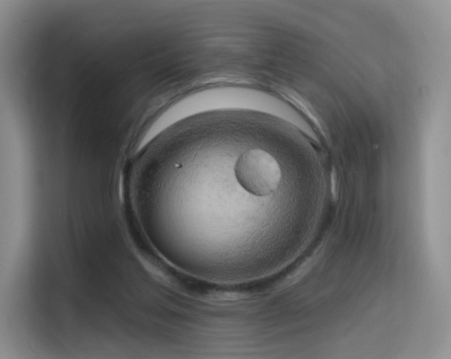 X0000114670205200910211157