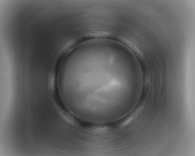 X0000114670206200910211157