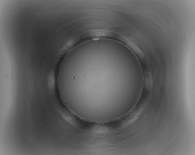 X0000114670207200910211157