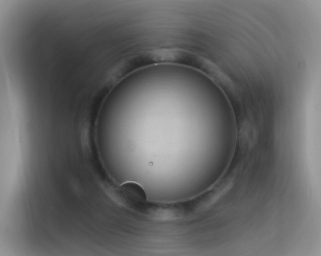 X0000114670209200910211157