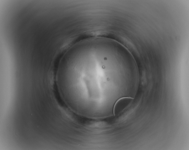 X0000114670210200910211157