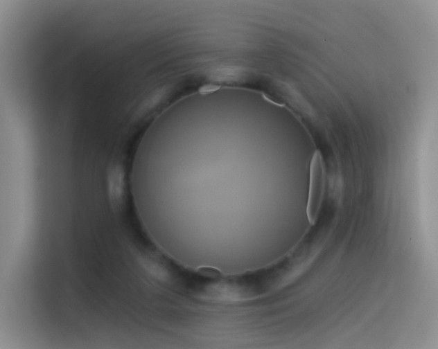 X0000114670211200910211157