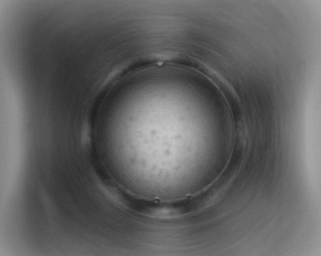 X0000114670212200910211157